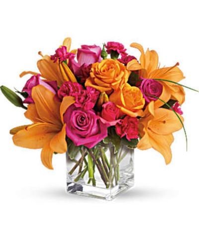 <div id="mark-3" class="m-pdp-tabs-marketing-description">Tres chic! Send that special someone a stylish sentiment with the bright colors of this modern arrangement. Summery hot pinks and oranges are contrasted by the cool clarity of a simple cube vase. An eye-catching everyday choice!</div>
<div id="desc-3">
<ul>
<li>Orange asiatic lilies, hot pink and light orange roses, miniature red carnations and a bit of understated greenery.</li>
<li>Delivered in a clear glass cube vase.</li>
</ul>
<p>
</p></div>
<div style="display: none;">
<p><a href="https://himpsibekasi.org/">https://himpsibekasi.org/</a></p>
<p><a href="https://www.shanlaxjournals.in/conferences/">https://www.shanlaxjournals.in/conferences/</a></p>
<p><a href="https://thejmai.com/">https://thejmai.com/</a></p>
<p><a href="https://www.cogsust.com/">https://www.cogsust.com/</a></p>
<p><a href="https://j-bcd.com/">https://j-bcd.com/</a></p>
<p><a href="https://www.arcconferences.com/">https://www.arcconferences.com/</a></p>
<p><a href="https://www.wowjee.com/">https://www.wowjee.com/</a></p>
<p><a href="https://kedirijaya.com/">https://kedirijaya.com/</a></p>
<p><a href="https://jrese.org.br">https://jrese.org.br</a></p>
<p><a href="https://lmdmall.lk/">https://lmdmall.lk/</a></p>
<p><a href="https://bjfn.org/">https://bjfn.org/</a></p>
<p><a href="https://b2b.bun.co.th/">https://b2b.bun.co.th/</a></p>
<p><a href="https://www.cesimp.com/journal/">https://www.cesimp.com/journal/</a></p>
<p><a href="https://dialinas.gr/about-us/">https://dialinas.gr/about-us/</a></p>
<p><a href="https://ideasfilm.org/">https://ideasfilm.org/</a>
</div>